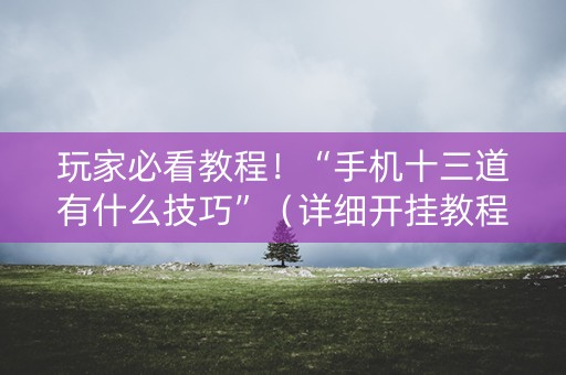 玩家必看教程！“手机十三道有什么技巧”（详细开挂教程）-哔哩哔哩