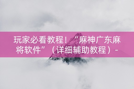玩家必看教程！“麻神广东麻将软件”（详细辅助教程）-哔哩哔哩