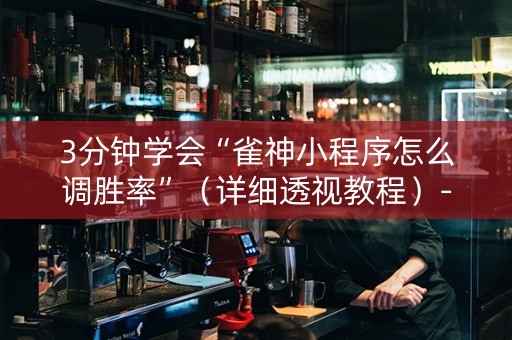 3分钟学会“雀神小程序怎么调胜率”（详细透视教程）-哔哩哔哩
