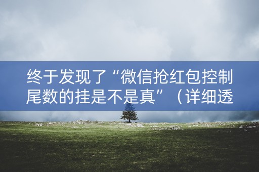 终于发现了“微信抢红包控制尾数的挂是不是真”（详细透视教程）-哔哩哔哩
