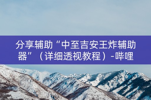 分享辅助“中至吉安王炸辅助器”（详细透视教程）-哔哩哔哩