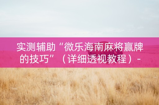实测辅助“微乐海南麻将赢牌的技巧”（详细透视教程）-哔哩哔哩