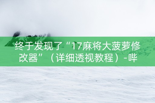 终于发现了“17麻将大菠萝修改器”（详细透视教程）-哔哩哔哩