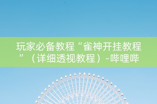 玩家必备教程“雀神开挂教程”（详细透视教程）-哔哩哔哩
