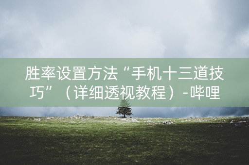 胜率设置方法“手机十三道技巧”（详细透视教程）-哔哩哔哩