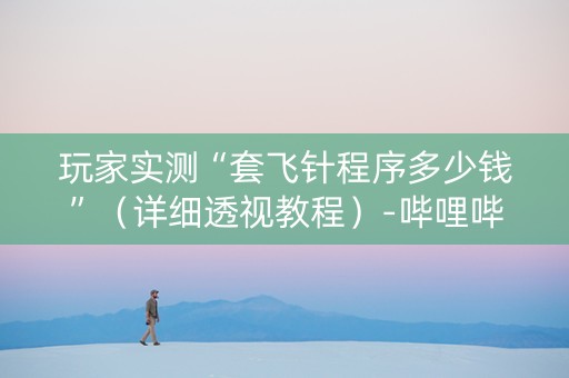 玩家实测“套飞针程序多少钱”（详细透视教程）-哔哩哔哩