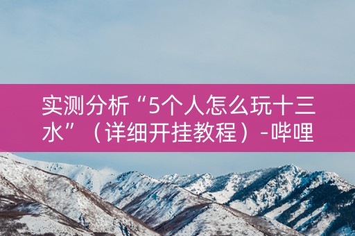 实测分析“5个人怎么玩十三水”（详细开挂教程）-哔哩哔哩