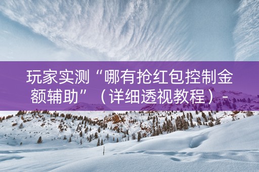 玩家实测“哪有抢红包控制金额辅助”（详细透视教程）-哔哩哔哩