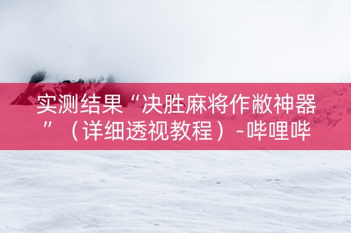 实测结果“决胜麻将作敝神器”（详细透视教程）-哔哩哔哩