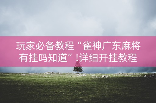 玩家必备教程“雀神广东麻将有挂吗知道”!详细开挂教程-知乎