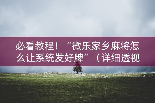 必看教程！“微乐家乡麻将怎么让系统发好牌”（详细透视教程）-哔哩哔哩