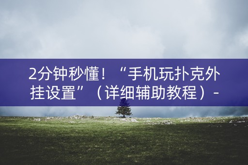 2分钟秒懂！“手机玩扑克外挂设置”（详细辅助教程）-哔哩哔哩