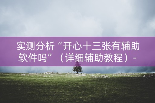 实测分析“开心十三张有辅助软件吗”（详细辅助教程）-哔哩哔哩