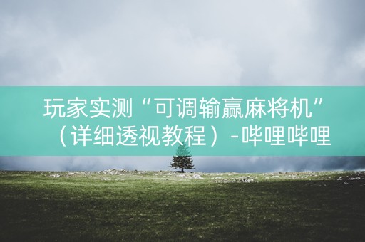玩家实测“可调输赢麻将机”（详细透视教程）-哔哩哔哩
