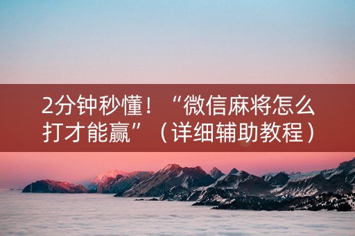 2分钟秒懂！“微信麻将怎么打才能赢”（详细辅助教程）-哔哩哔哩
