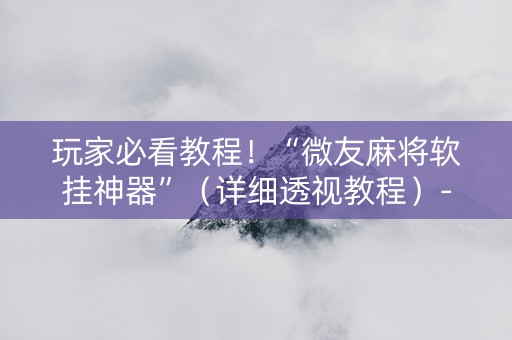 玩家必看教程！“微友麻将软挂神器”（详细透视教程）-哔哩哔哩