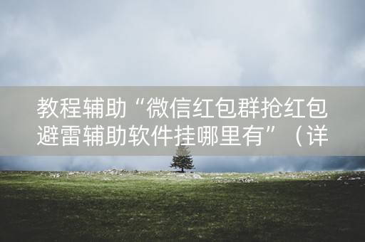 教程辅助“微信红包群抢红包避雷辅助软件挂哪里有”（详细透视教程）-哔哩哔哩