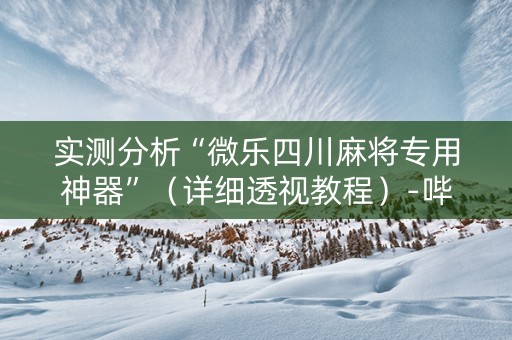实测分析“微乐四川麻将专用神器”（详细透视教程）-哔哩哔哩