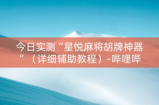 今日实测“星悦麻将胡牌神器”（详细辅助教程）-哔哩哔哩