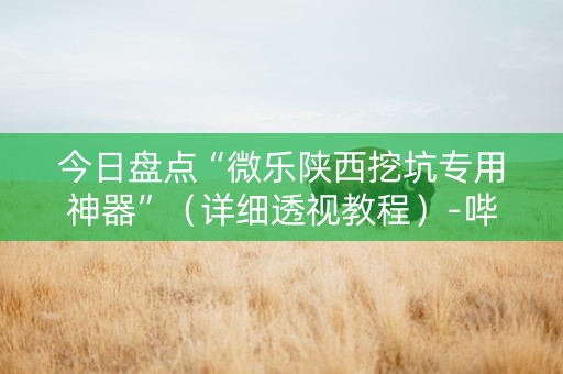 今日盘点“微乐陕西挖坑专用神器”（详细透视教程）-哔哩哔哩