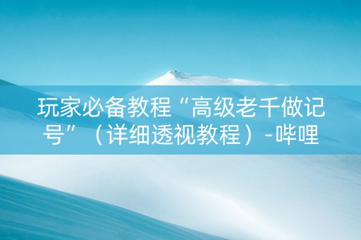 玩家必备教程“高级老千做记号”（详细透视教程）-哔哩哔哩