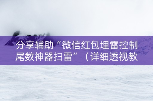 分享辅助“微信红包埋雷控制尾数神器扫雷”（详细透视教程）-哔哩哔哩
