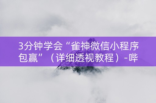 3分钟学会“雀神微信小程序包赢”（详细透视教程）-哔哩哔哩