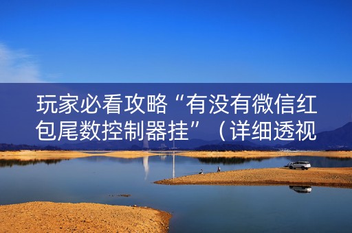 玩家必看攻略“有没有微信红包尾数控制器挂”（详细透视教程）-哔哩哔哩