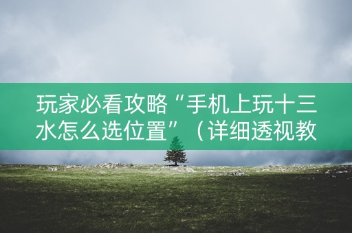 玩家必看攻略“手机上玩十三水怎么选位置”（详细透视教程）-哔哩哔哩
