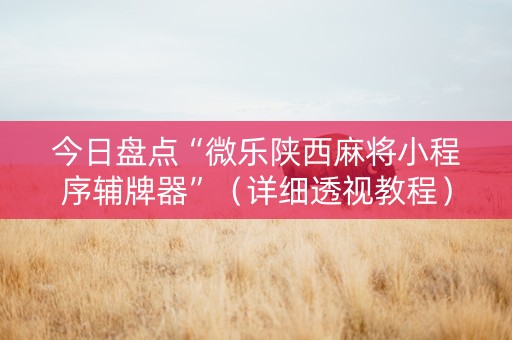 今日盘点“微乐陕西麻将小程序辅牌器”（详细透视教程）-哔哩哔哩