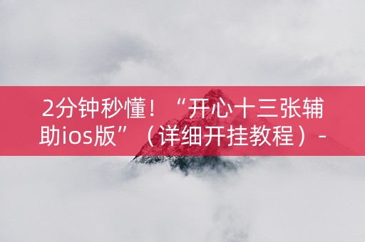 2分钟秒懂！“开心十三张辅助ios版”（详细开挂教程）-哔哩哔哩