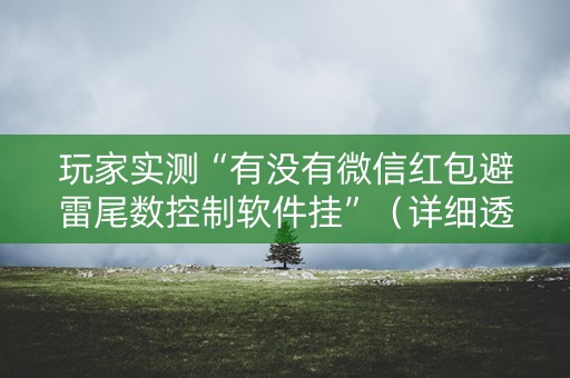玩家实测“有没有微信红包避雷尾数控制软件挂”（详细透视教程）-哔哩哔哩