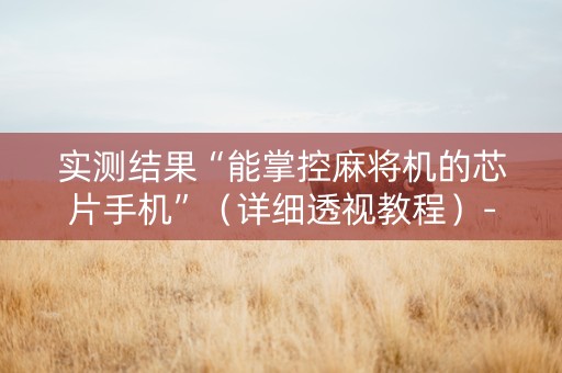 实测结果“能掌控麻将机的芯片手机”（详细透视教程）-哔哩哔哩