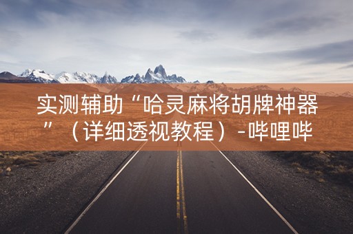 实测辅助“哈灵麻将胡牌神器”（详细透视教程）-哔哩哔哩