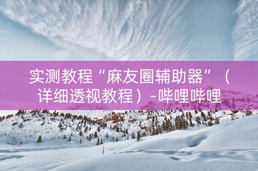 实测教程“麻友圈辅助器”（详细透视教程）-哔哩哔哩