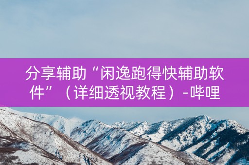 分享辅助“闲逸跑得快辅助软件”（详细透视教程）-哔哩哔哩