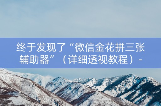 终于发现了“微信金花拼三张辅助器”（详细透视教程）-哔哩哔哩