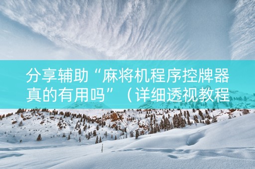 分享辅助“麻将机程序控牌器真的有用吗”（详细透视教程）-哔哩哔哩