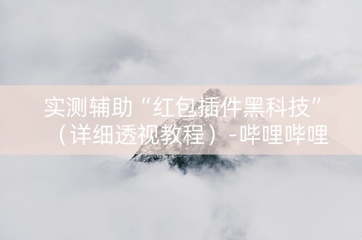 实测辅助“红包插件黑科技”（详细透视教程）-哔哩哔哩