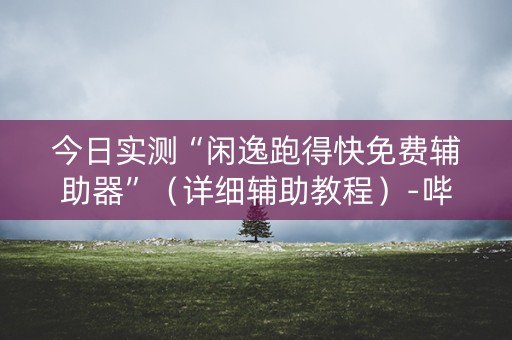 今日实测“闲逸跑得快免费辅助器”（详细辅助教程）-哔哩哔哩