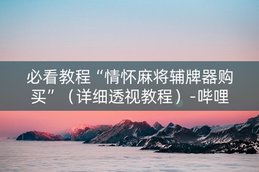 必看教程“情怀麻将辅牌器购买”（详细透视教程）-哔哩哔哩