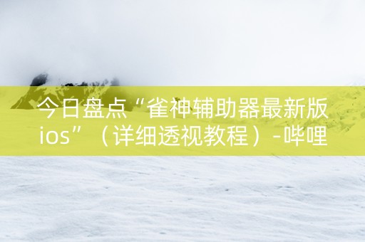 今日盘点“雀神辅助器最新版ios”（详细透视教程）-哔哩哔哩