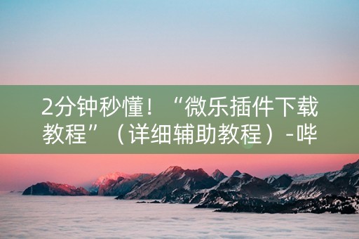 2分钟秒懂！“微乐插件下载教程”（详细辅助教程）-哔哩哔哩