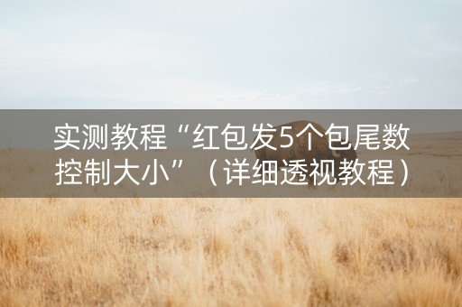 实测教程“红包发5个包尾数控制大小”（详细透视教程）-哔哩哔哩