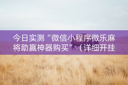 今日实测“微信小程序微乐麻将助赢神器购买”（详细开挂教程）-哔哩哔哩