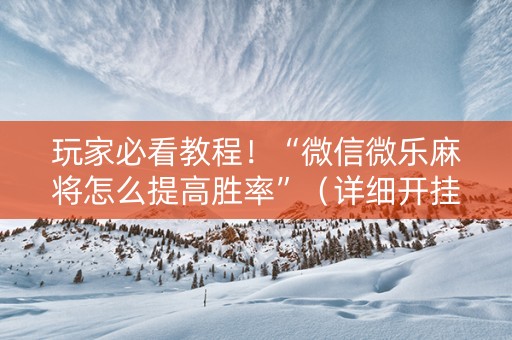 玩家必看教程！“微信微乐麻将怎么提高胜率”（详细开挂教程）-哔哩哔哩