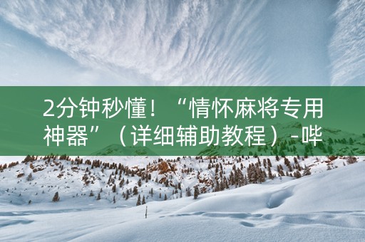 2分钟秒懂！“情怀麻将专用神器”（详细辅助教程）-哔哩哔哩