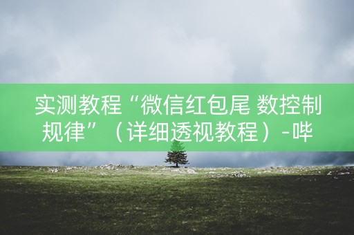 实测教程“微信红包尾 数控制规律”（详细透视教程）-哔哩哔哩