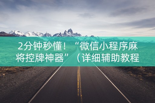 2分钟秒懂！“微信小程序麻将控牌神器”（详细辅助教程）-哔哩哔哩