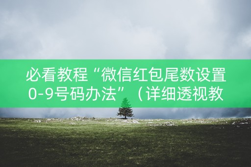 必看教程“微信红包尾数设置0-9号码办法”（详细透视教程）-哔哩哔哩